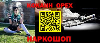 стафф Камышлов