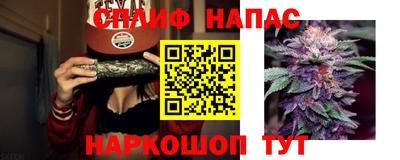 стафф Камышлов