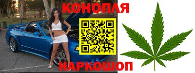 гидропоника Кингисепп