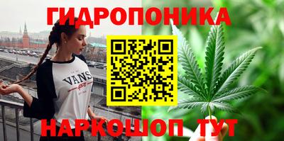 гидропоника Кингисепп
