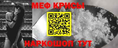 стафф Камышлов