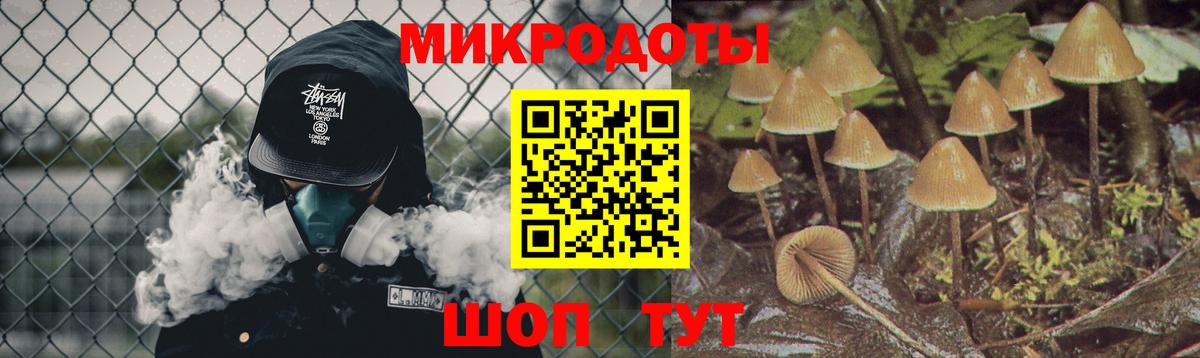 Канаш  Псилоцибиновые грибы Psilocybe  Галлюциногенные грибы мицелий  Вход с VPN 